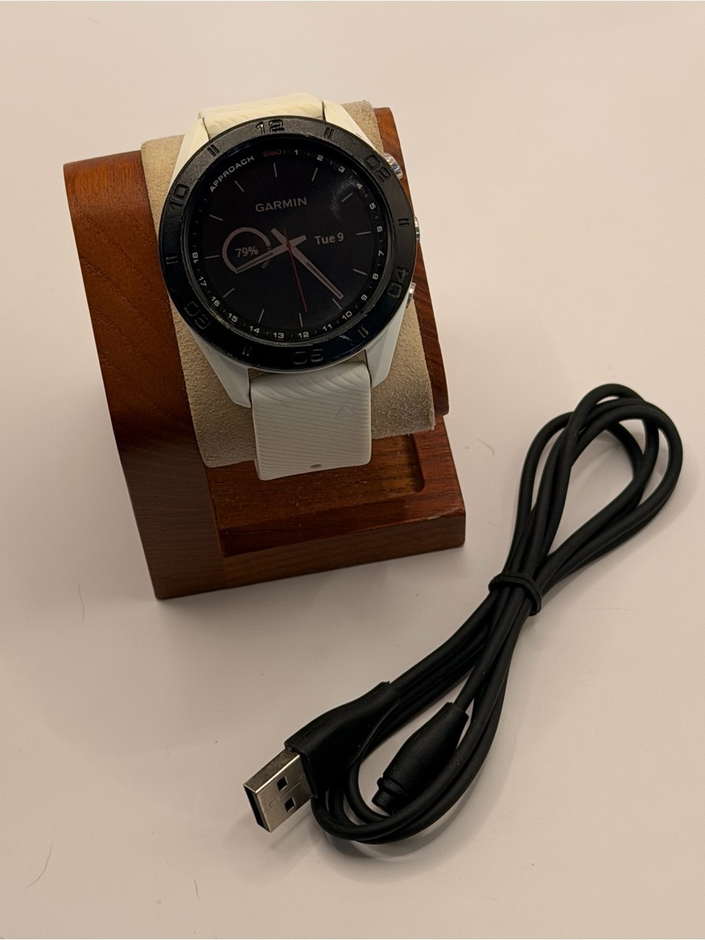 Garmin Approach S60, Tested, Charger Included, Rare Color,  Golf GPS Watch